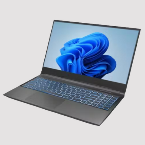 Infinity XQ6 Gaming Laptop 15.6” i7-13700H | 32GB RAM | 1TB SSD | RTX 4060 image 0